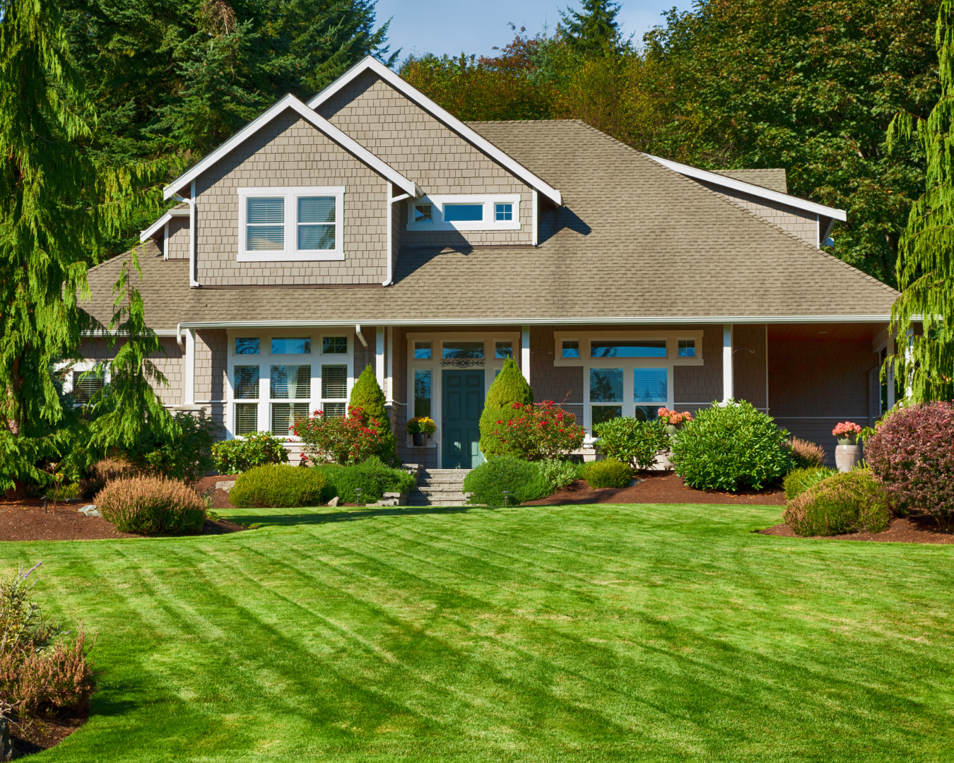 Untitled design (10)